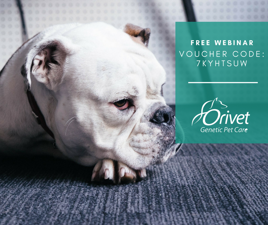 Vet Compliance How to drive adherence – FREE WEBINAR
