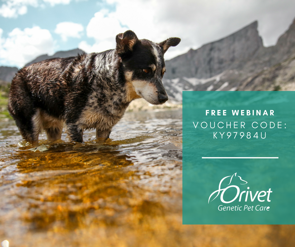 Emergency! Pet Swallows Genetics – FREE WEBINAR